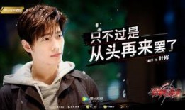 全职高手杨洋最新爆料,独家爆料引粉丝热议