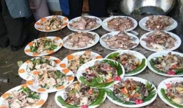 农村宴席爆料视频大全最新,最新爆料视频大全深度解析