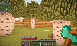 我的世界模组最新爆料版,揭秘Minecraft模组最新爆料版神秘特性
