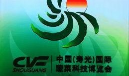 寿光新闻爆料网最新,聚焦民生热点，传递最新动态