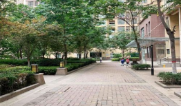 西咸新区房产最新爆料,揭秘最新爆料，投资潜力大解析