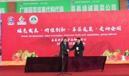 莘州投资集团爆料事件最新,揭开背后真相与争议