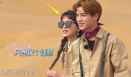 三字男星最新爆料视频,最新爆料视频背后的惊人真相