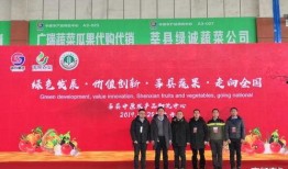 莘州投资集团爆料事件最新,揭开背后真相与争议