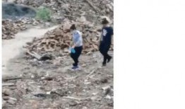 青山最新爆料消息今天,揭秘今日热点事件内幕