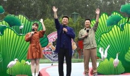 最新油价爆料新闻视频下载,视频揭秘市场动态与未来走势