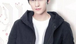 全职高手杨洋最新爆料,独家爆料引粉丝热议