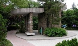 临沂公园爆料最新消息,神秘事件引发热议，真相即将揭晓！