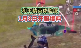 和平区体验服最新爆料,揭秘神秘游戏世界与全新玩法